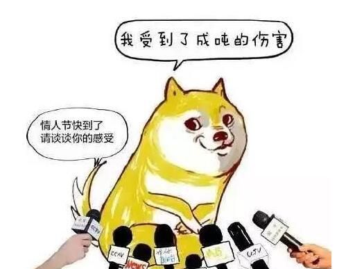 单身为什么叫单身狗而不是单身猫图2