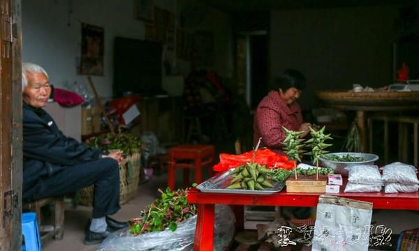 重庆铜梁安居古镇特色(铜梁旅游古镇)图7