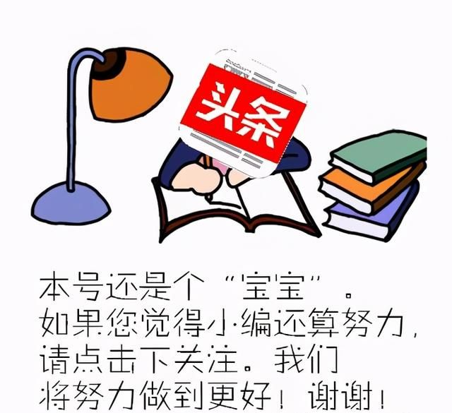 桉树种植技术分析与研究,未来20年速生桉树前景怎样图2