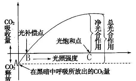 细说光照强度对光合速率的影响,一天之中光照强度标准对照表图1