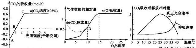 细说光照强度对光合速率的影响,一天之中光照强度标准对照表图3