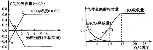 细说光照强度对光合速率的影响,一天之中光照强度标准对照表图4