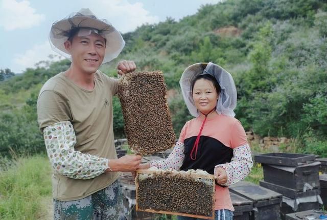 蜂蜜和西柚泡水发苦还能喝吗女生图6