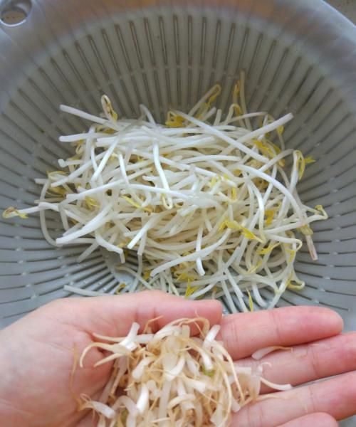 黄豆芽跟绿豆芽哪个热量低,制作绿豆芽的最佳方法图2