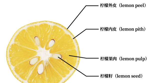 经常喝柠檬水对身体有没有影响(喝了柠檬水身体会出现哪些变化)图7