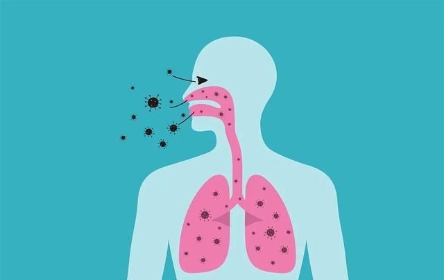 正常生理呼吸机制(人工呼吸中最简单有效的方法)图2