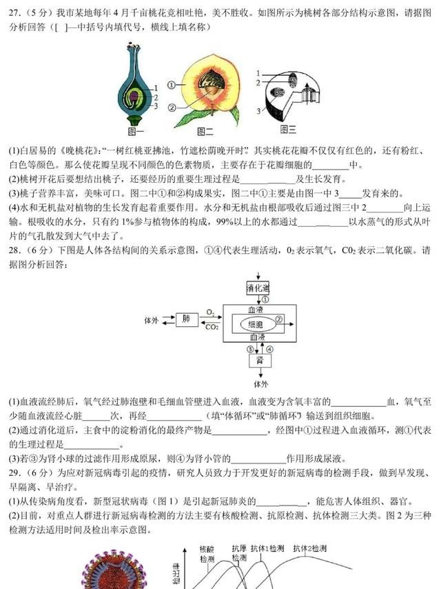 2020年福建中考生物试卷及解析图6