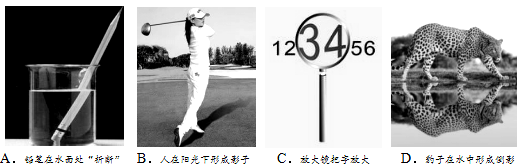 2017中考物理专题二光现象(八年级上册物理光现象思维导图)图2