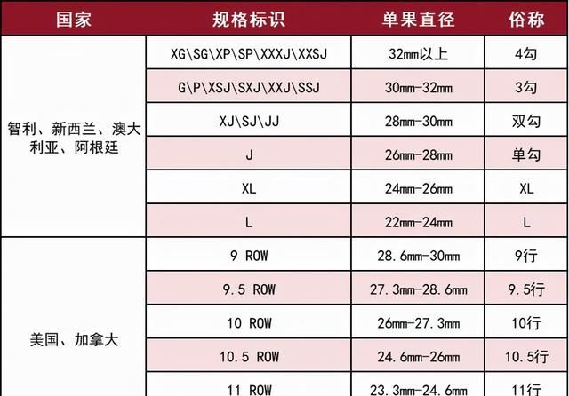 常见车厘子国家产季表(mosso车厘子和桑缇娜车厘子哪个好)图10