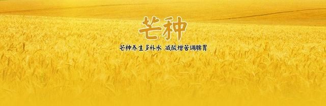 六月5日是芒种,芒种的来历是什么图3