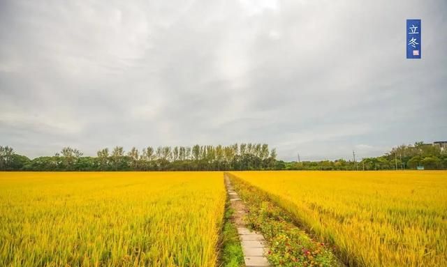 今日立冬几点几分,今日立冬美句图4