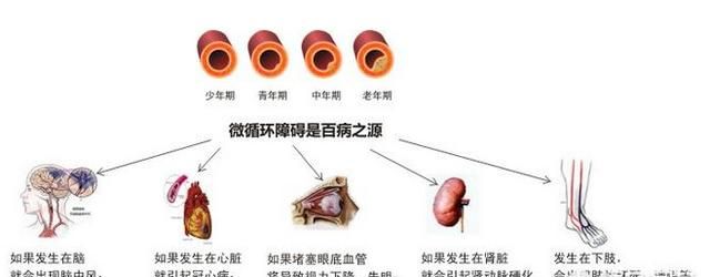 怎样把煮熟的鸡蛋立起来图1