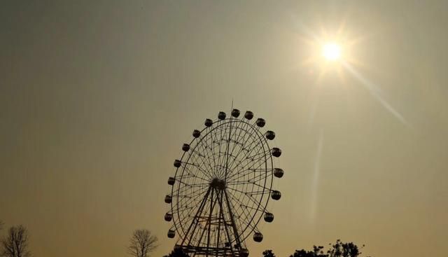 武汉木兰花乡的郁金香花海开了吗图15