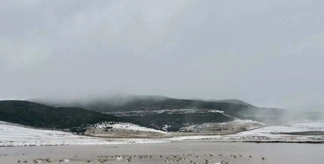 关于谷克德高山湿地的故事图2