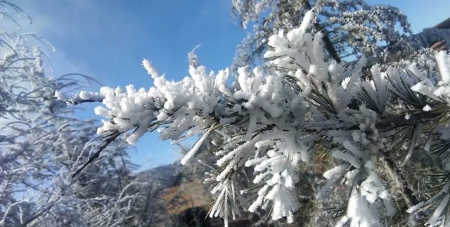 关于谷克德高山湿地的故事图3