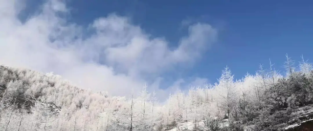 关于谷克德高山湿地的故事图4