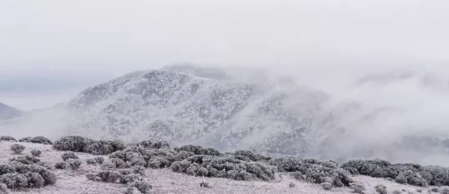 关于谷克德高山湿地的故事图5