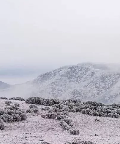 关于谷克德高山湿地的故事图6