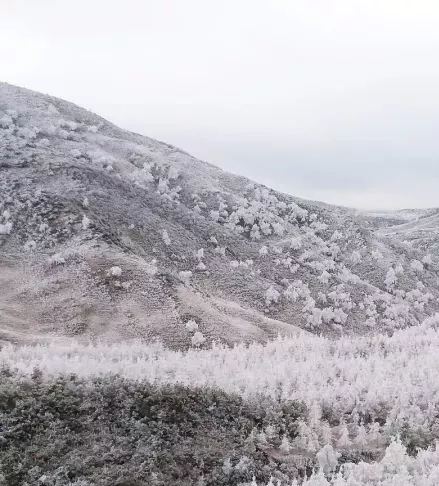 关于谷克德高山湿地的故事图12