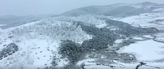 关于谷克德高山湿地的故事图29