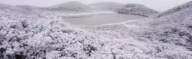 关于谷克德高山湿地的故事图30