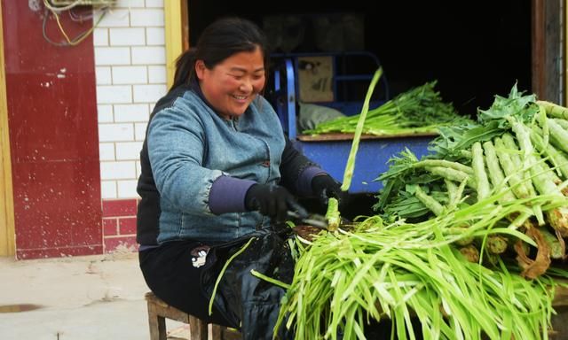 云南懒人菜种植技术图7