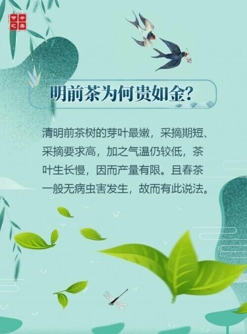 清明节气有何特点专家为您揭秘(清明节气特点)图4