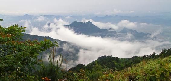 南宁大明山风景怎么样值得去吗(南宁大明山风景旅游区)图5