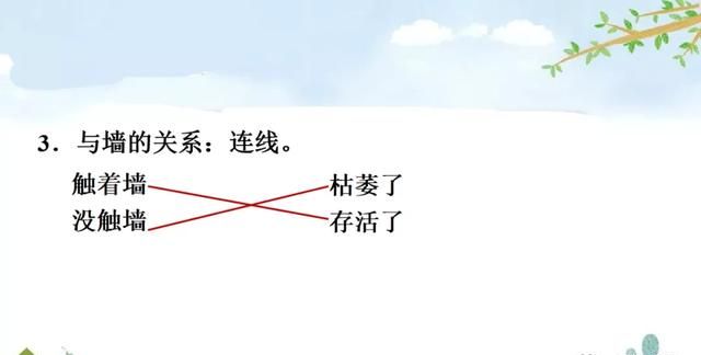 部编版四年级语文上册第10课《爬山虎的脚》课件及同步练习图76