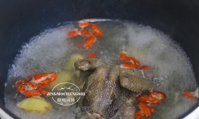 一鸽胜九鸡鸽子汤要这样炖(一鸽胜九鸡鸽子汤的做法及功效)图7