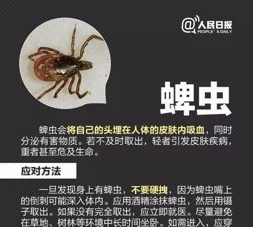 一家三口被小虫咬伤只存活一个人图12