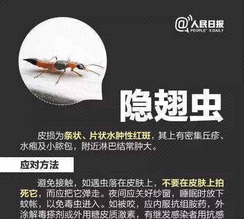 一家三口被小虫咬伤只存活一个人图14