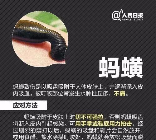 一家三口被小虫咬伤只存活一个人图15