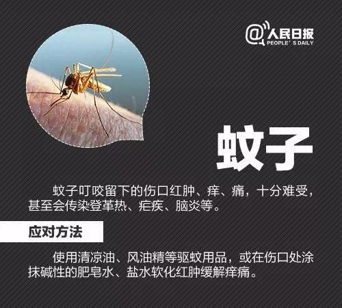 一家三口被小虫咬伤只存活一个人图16