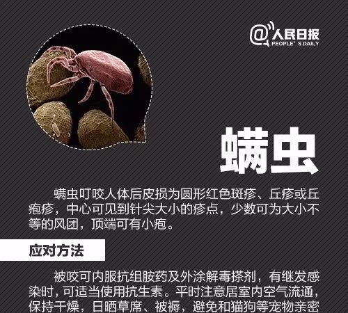 一家三口被小虫咬伤只存活一个人图17