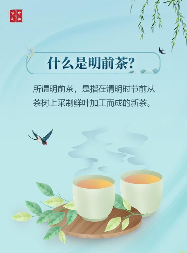 清明节气与茶的联系与区别图3