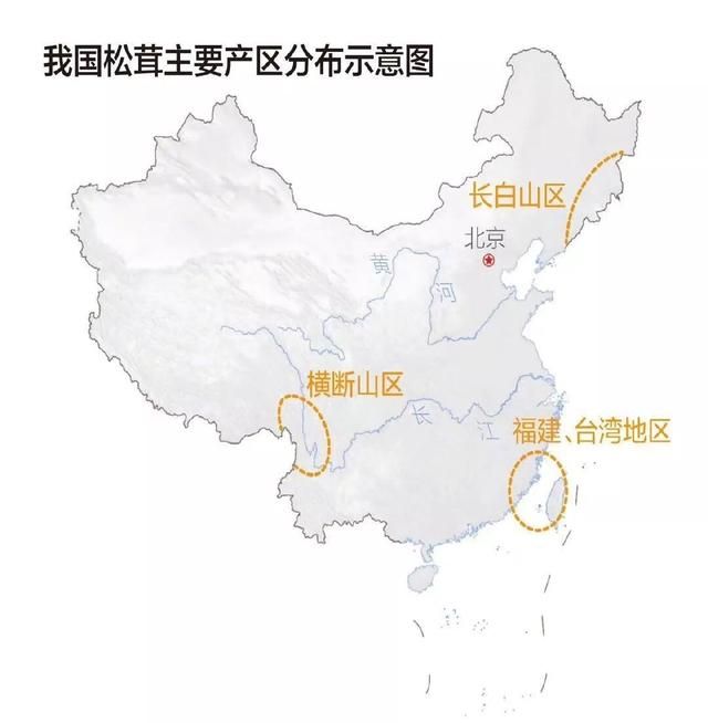 寻觅松茸地理中国图8