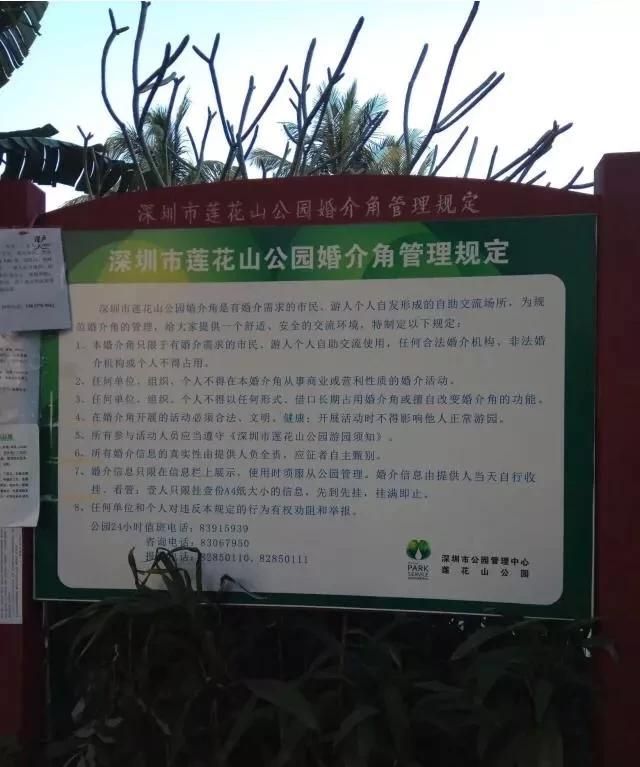 你如何看待现在有些城市公园存在相亲角的问题图17