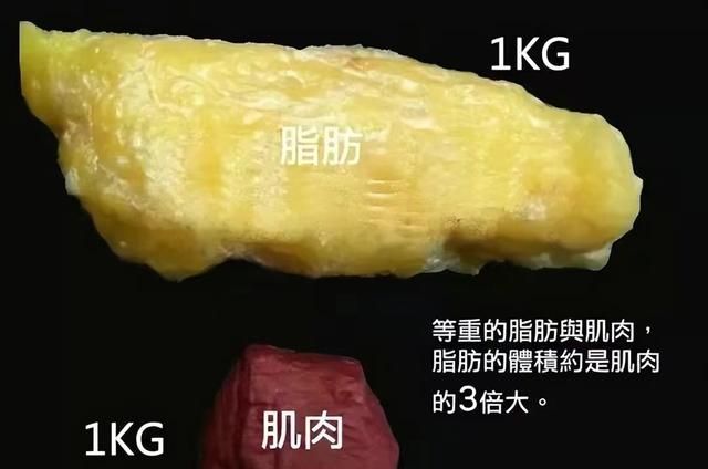 减肥期间掉肉的最佳时间(减肥体重急速下降的原因)图7