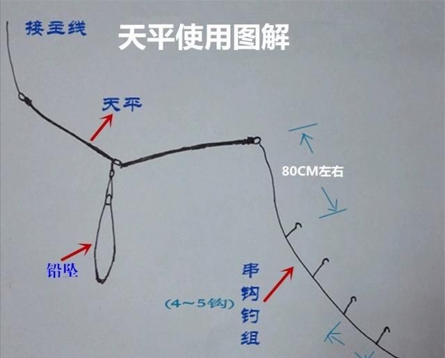 知己知彼百战不殆！说说细鳞鯻（茂公鱼）的钓法图5