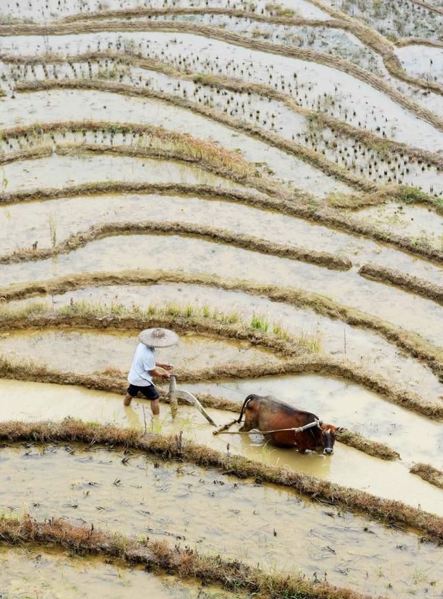 一文看懂客家人从哪来(客家人的祖先从哪里迁居过来)图8