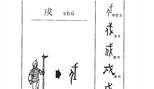 戊戌戊戍怎么区别图9