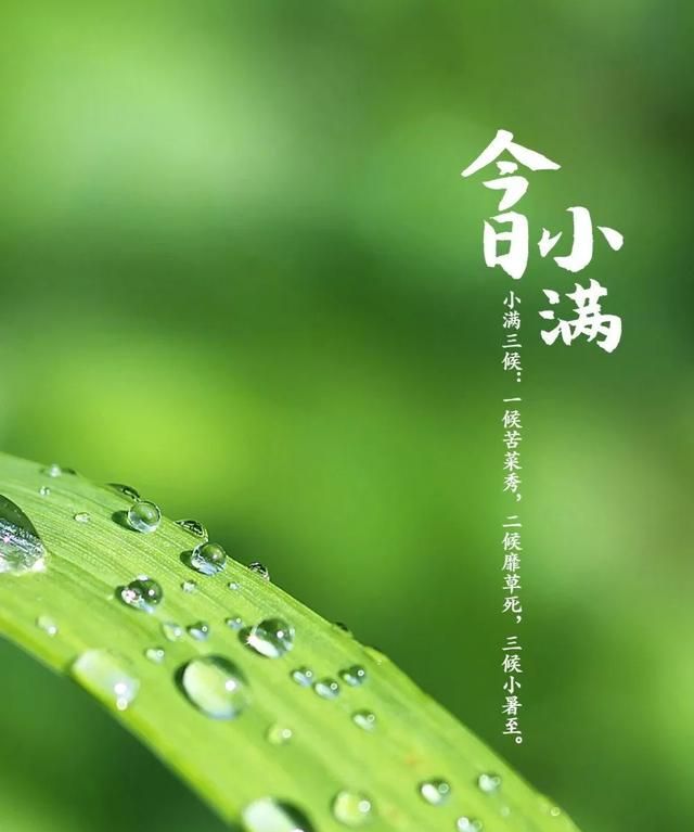 小满是个什么样的节气(小满是一个怎样的节气)图1