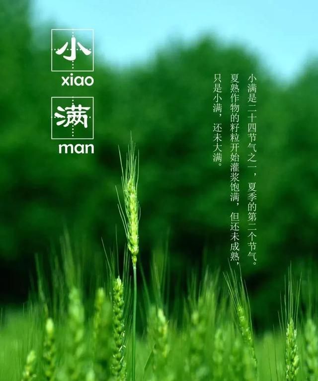 小满是个什么样的节气(小满是一个怎样的节气)图2