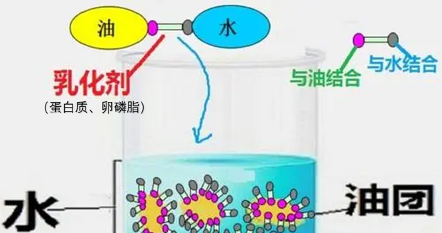 鱼汤炖成奶白色的做法,鱼汤怎么熬才是奶白色好喝图3