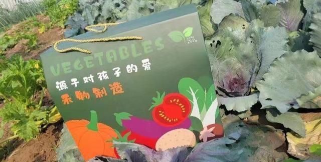 有机蔬菜为什么比普通蔬菜贵图6