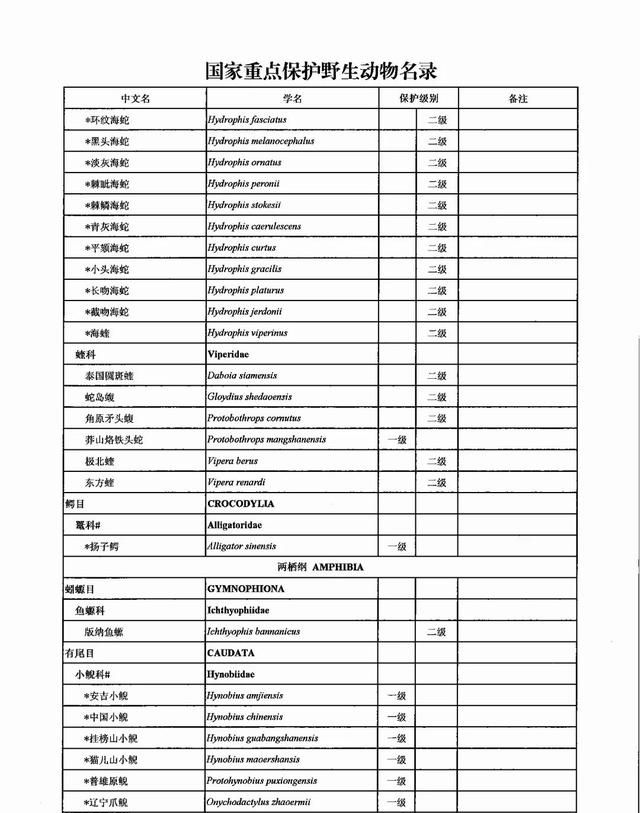 蛇皮怎么升级(现在的巨蛇)图2