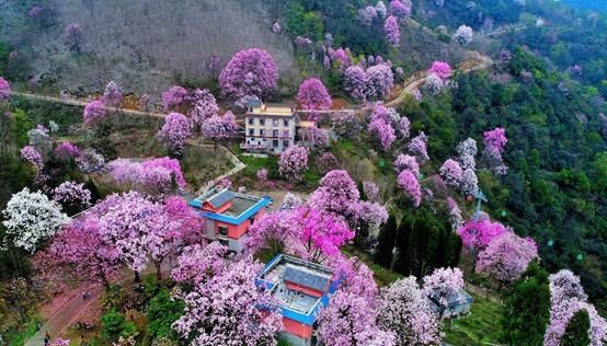 3月份去哪里旅游最好,三月份去哪里旅游最佳图5