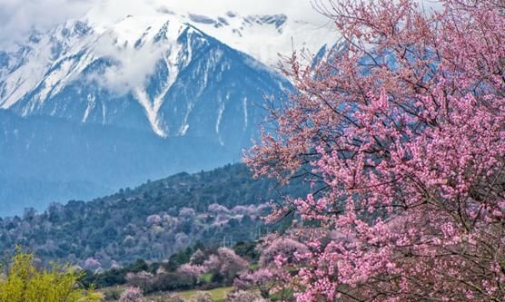 3月份去哪里旅游最好,三月份去哪里旅游最佳图6