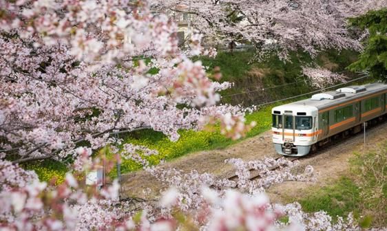 3月份去哪里旅游最好,三月份去哪里旅游最佳图10